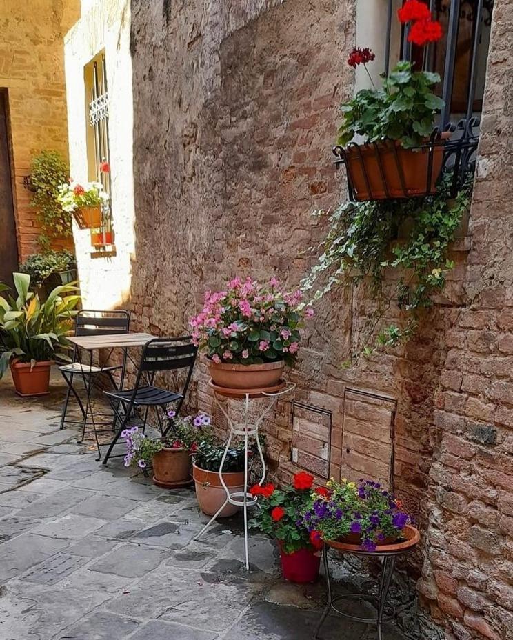 La Casina Apartment Buonconvento Exterior photo